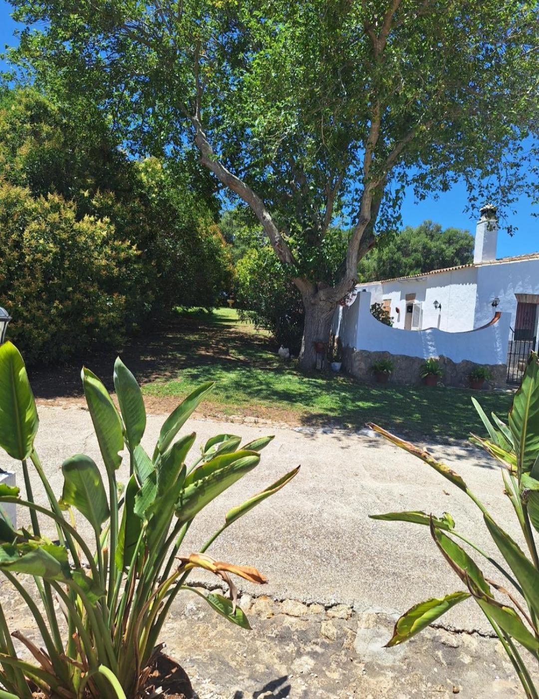 Casa Rural El Nino Santamaria , Con Piscina Y Wifi Vejer de la Frontera Exterior photo